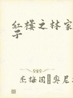 红楼之林家庶长子