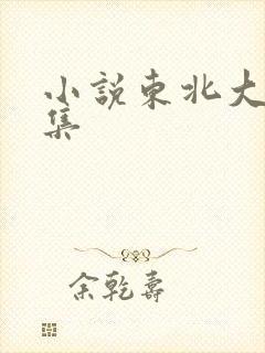 小说东北大炕全集