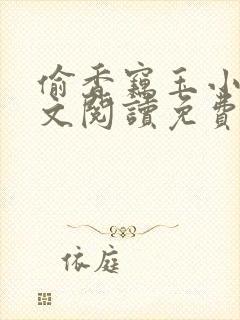 偷香窃玉小说全文阅读免费