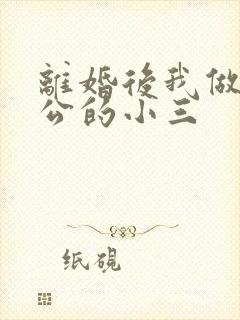 离婚后我做了老公的小三