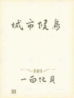 城市候鸟