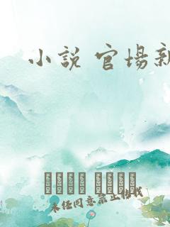 小说 官场新贵