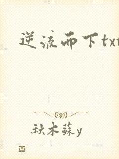逆流而下txt