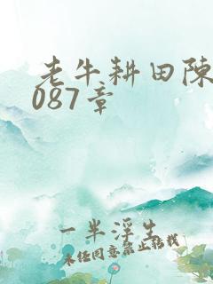 老牛耕田陈雪1087章