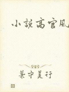 小说高官风流