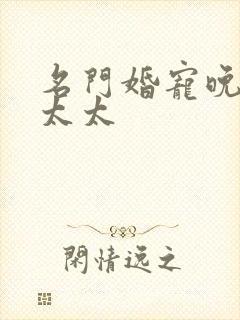 名门婚宠晚安赫太太