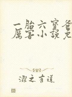 一胎六宝爸比好厉害小说免费阅读