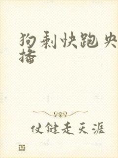 狗剩快跑央八首播