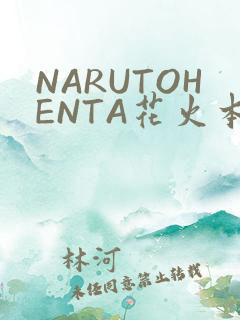 NARUTOHENTA花火本子