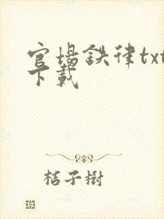 官场铁律txt下载