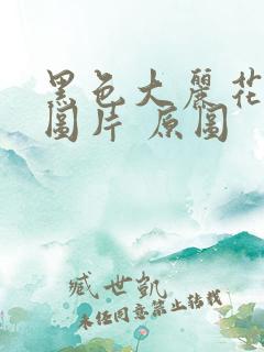 黑色大丽花真实图片 原图