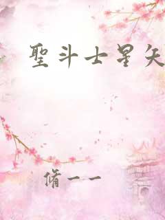 圣斗士星矢小说