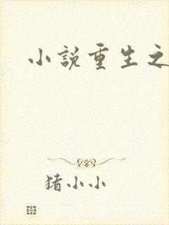 小说重生之官道