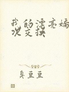 我的漂亮娇妻初次交换