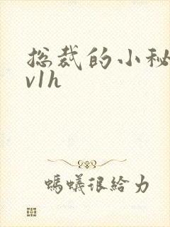 总裁的小秘书1v1h