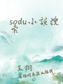 sodu小说搜索