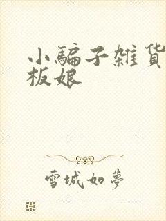 小骗子杂货铺老板娘