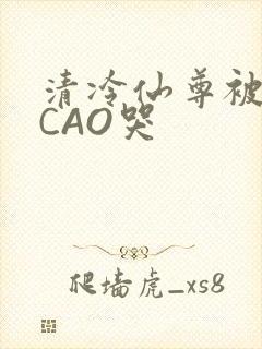 清冷仙尊被强制CAO哭