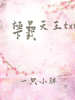 极品天王txt下载