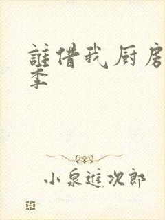 谁借我厨房第三季