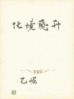 化境飞升