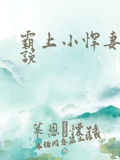霸上小悍妻 小说