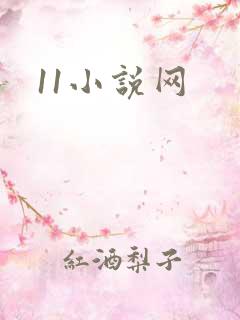 11小说网