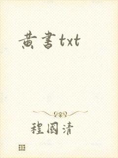 黄书txt