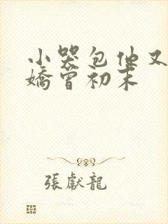 小哭包他又软又娇曾初末