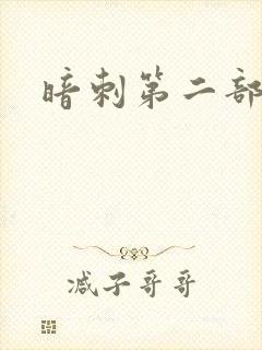 暗刺第二部