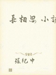长相思 小说