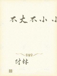 不大不小 小说