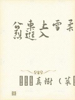 公车上雪柔被猛烈进入