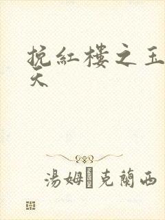 挽红楼之玉舞九天