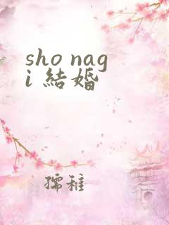 sho nagi 结婚