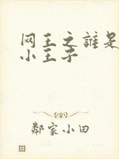 网王之谁是我的小王子