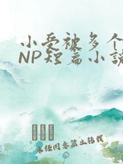 小受被多个攻强NP短篇小说