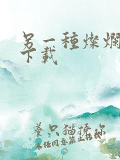 另一种灿烂生活下载