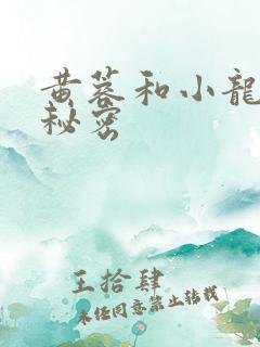 黄蓉和小龙女的秘密