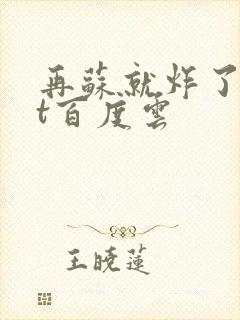 再苏就炸了txt百度云