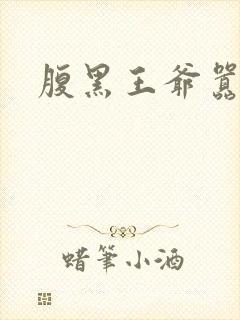 腹黑王爷嚣张妻