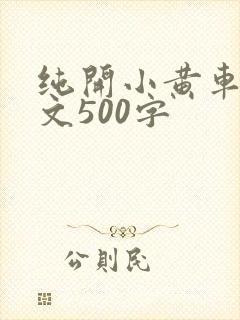 纯开小黄车小短文500字