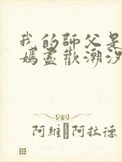 我的师父是王语嫣尽欢潮汐