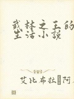 武林之王的退隐生活小说