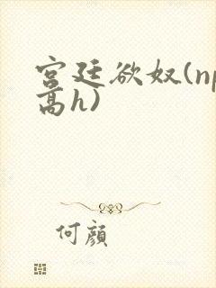 宫廷欲奴(np高h)