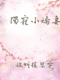 独宠小娇妻