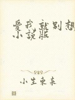 爱我就别想太多小说版