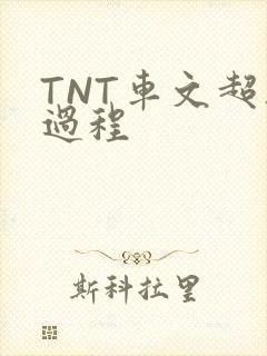 TNT车文超细过程