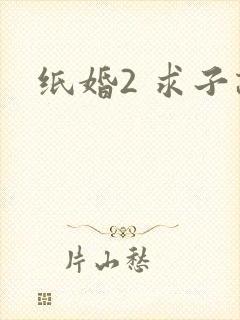 纸婚2 求子记