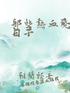 那些热血飞扬的日子